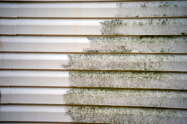 Best Foreclosure Cleanout  in Vaughn, WA